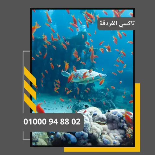 تاكسي الغردقة